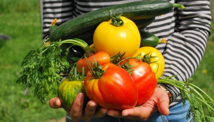     Фото: по лицензии CC0 Pxhere.com