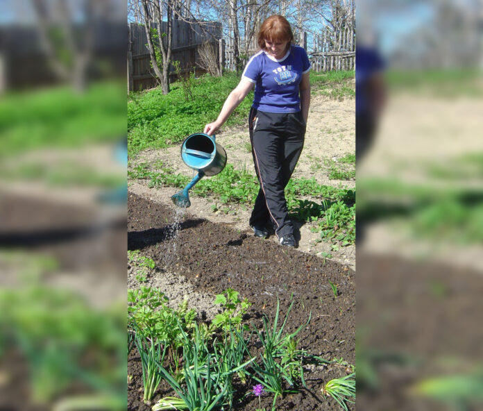 Растения просят воды.