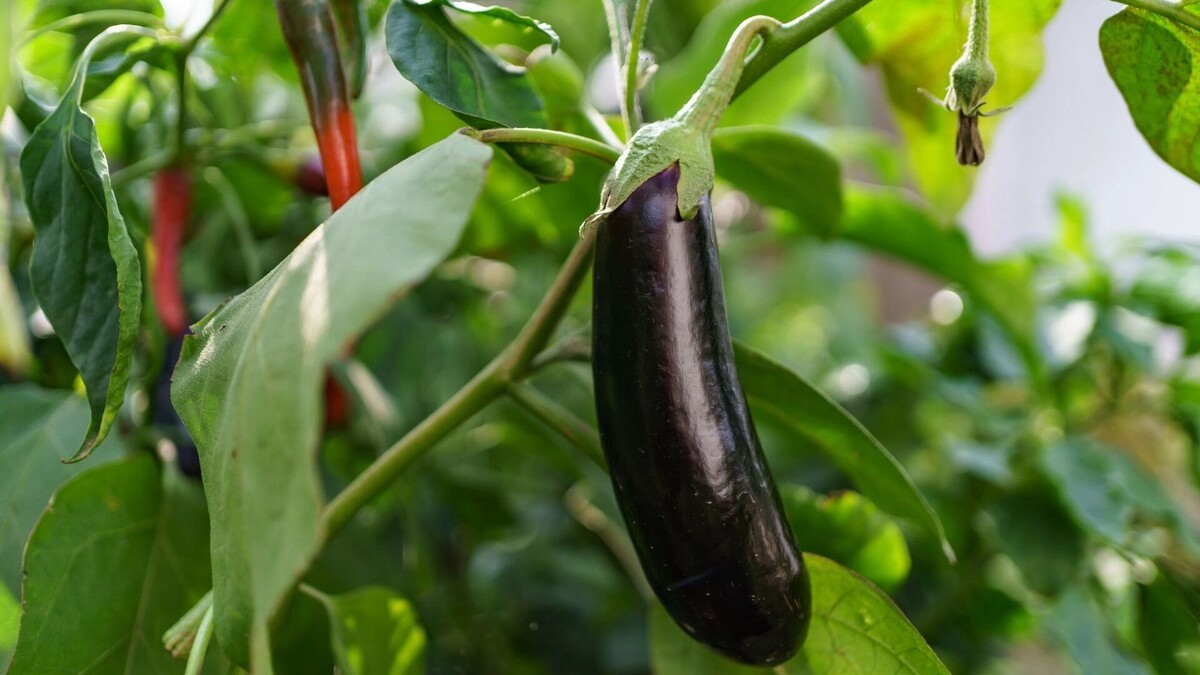     Источник: freepik.com