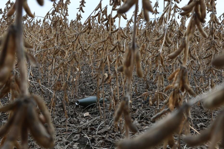    Наталья Шатохина/NEWS.ru