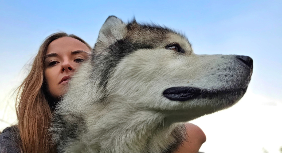 Здравствуйте, Цукат, мы вам рады, большой зверь!