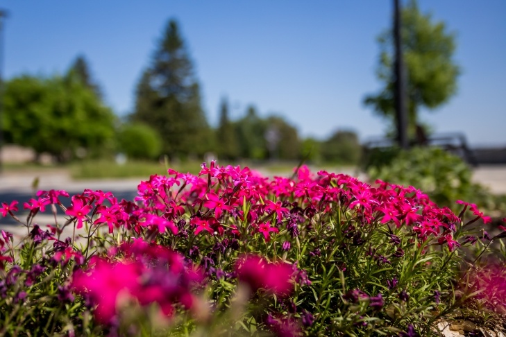    Фото Андрея Заржецкого