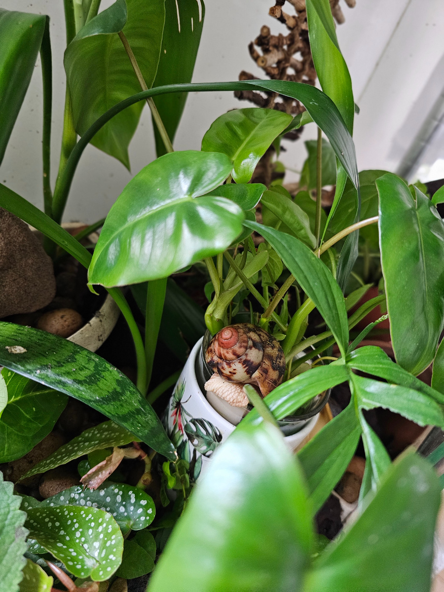 Ассортимент ничем не ограничен, как можно видеть.