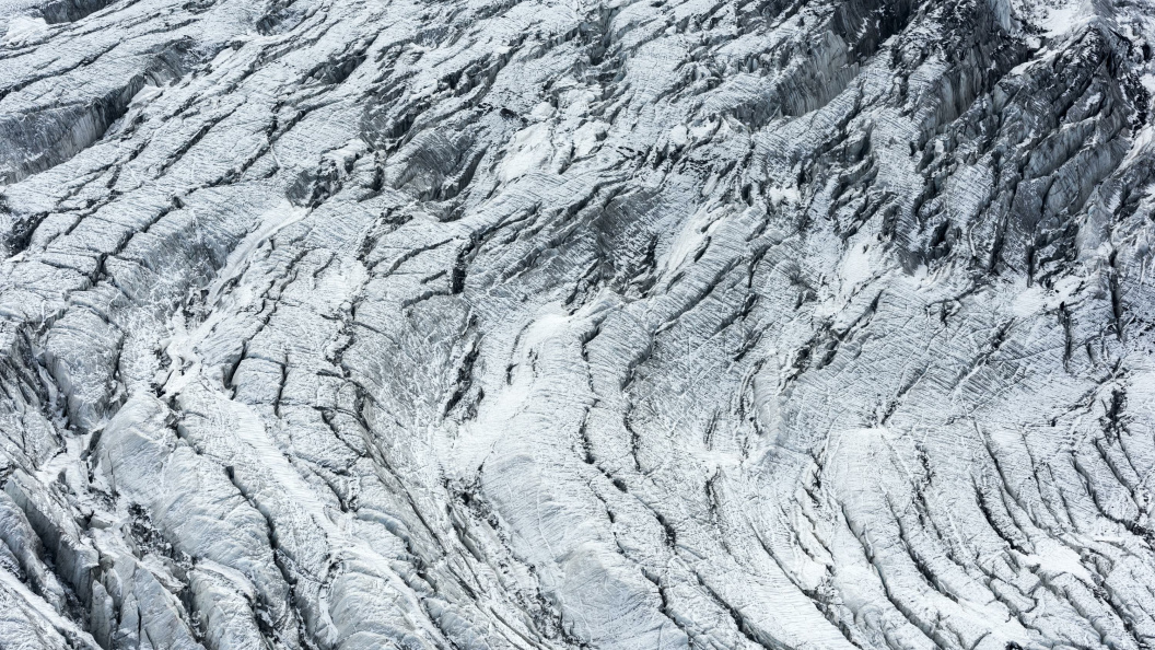    Фото: Serguei Fomine/Global Look Press