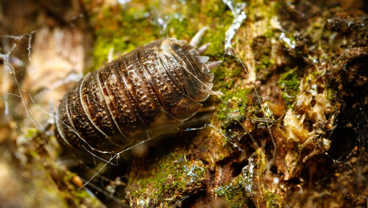     Источник: freepik.com