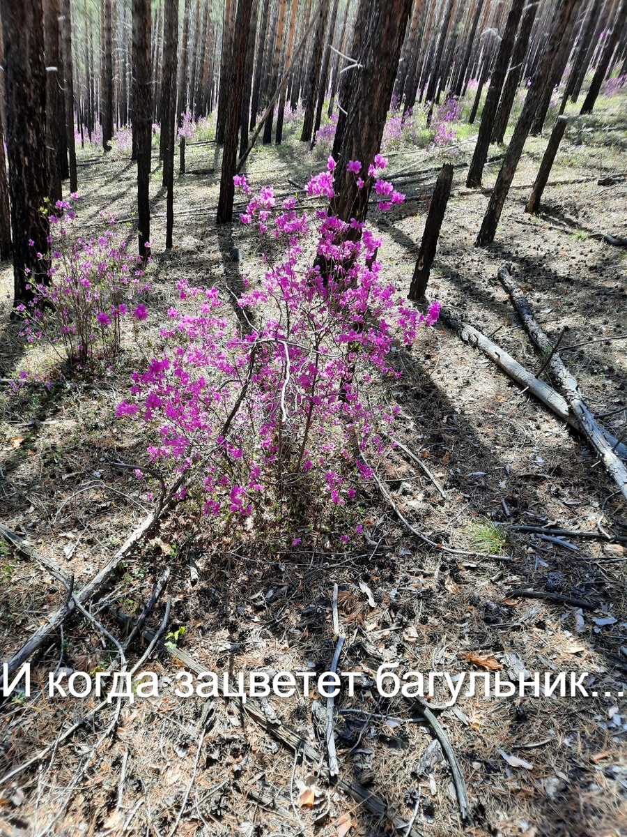 Фото автора.