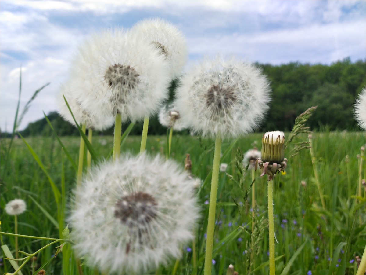 Личное фото