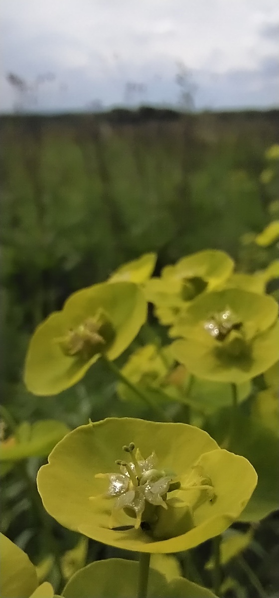 Личное фото