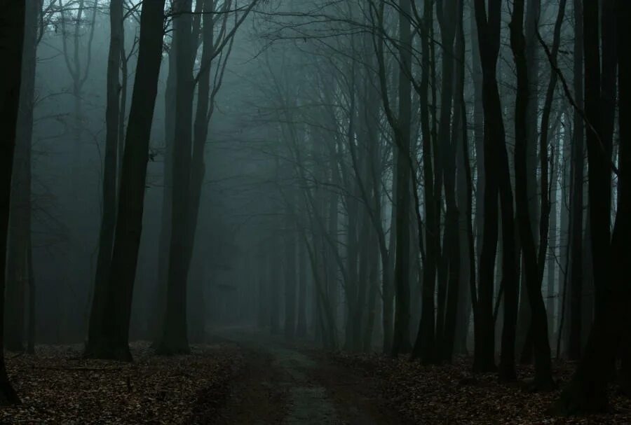 Изображение взято из открытых источников интернета. 