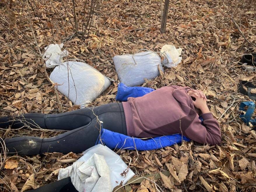    Источник фото: Пресс-служба ФГБУ "Земля леопарда"