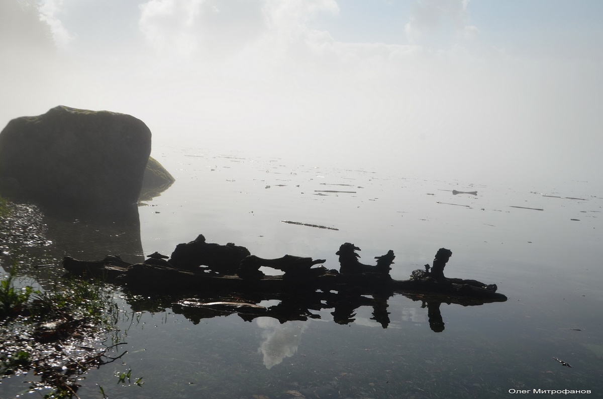 пришла большя вода