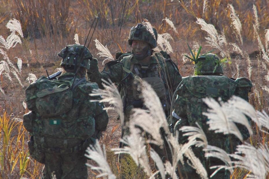    AFLO/Global Look Press