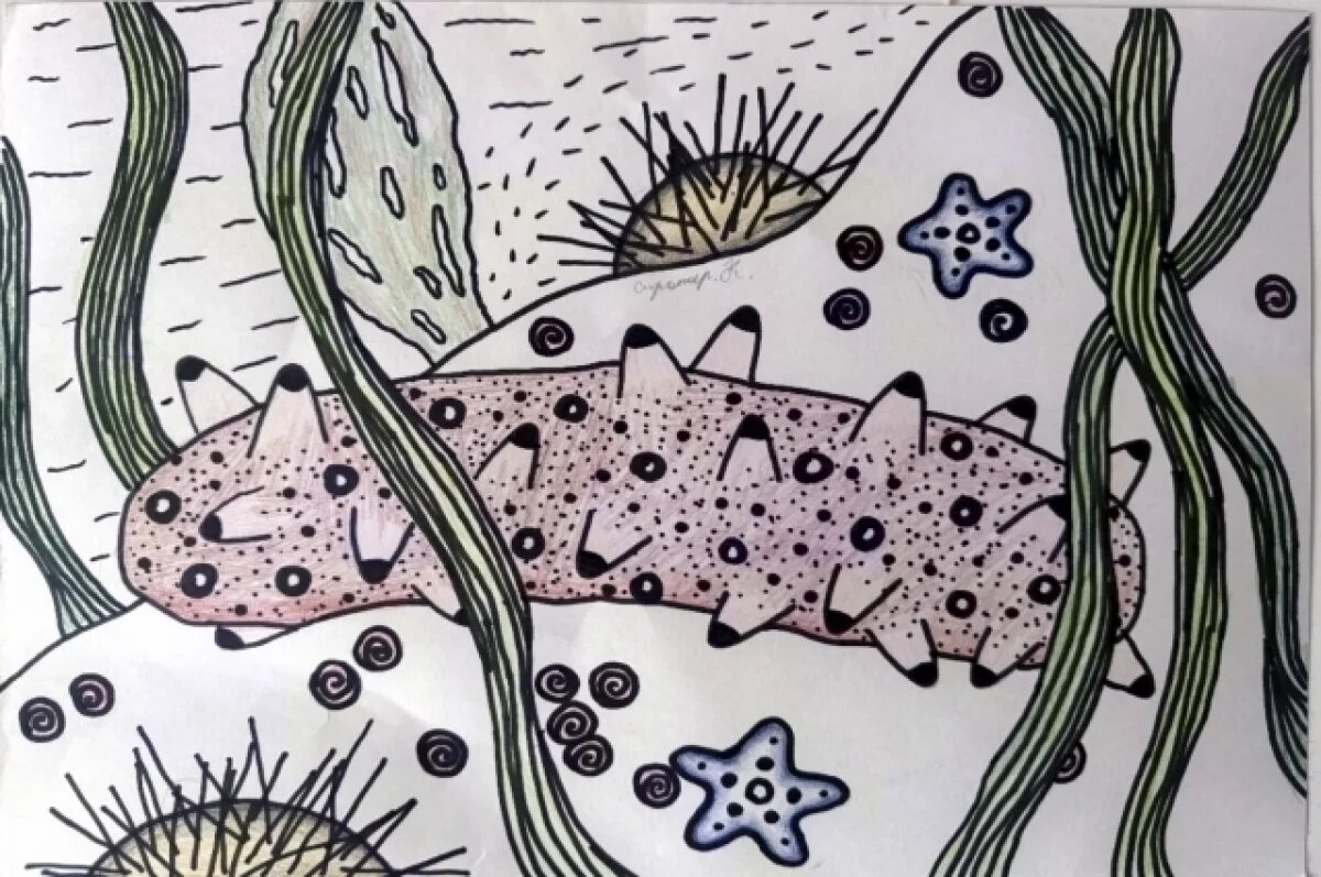    Конкурс «ТРОПА».