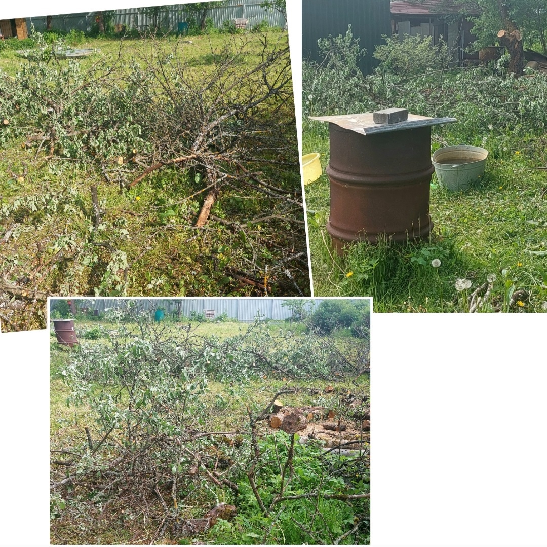 Фото автора.