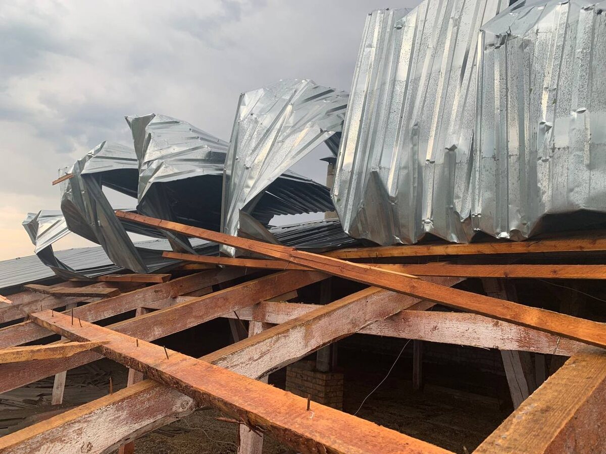    Фото: Прокуратура Красноярского края / Telegram