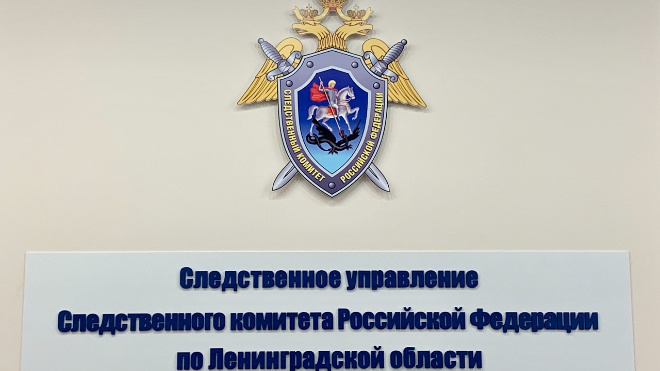 Фото: Пресс-служба СУ СКР по Ленинградской области
