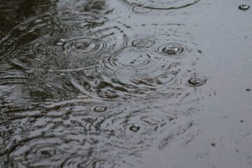    Фото: KazanFirst