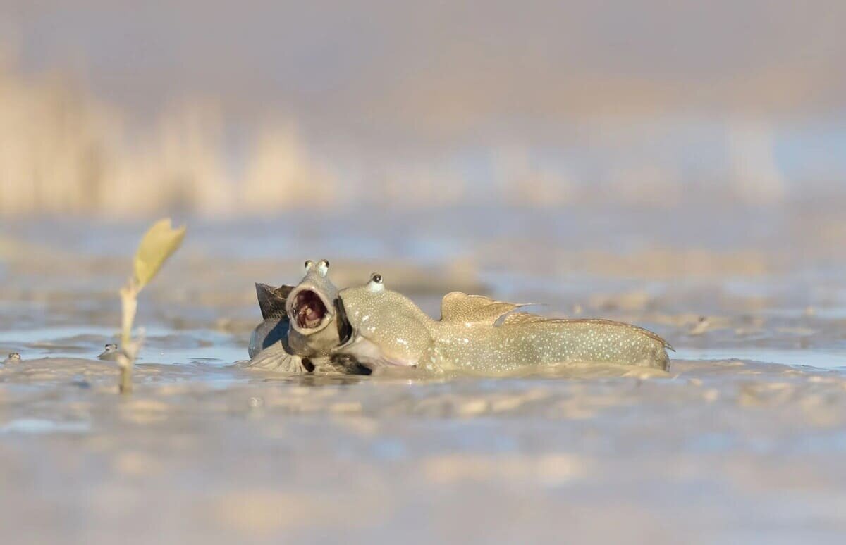    «Пой так, словно никто не слышит» / © Emma Parker