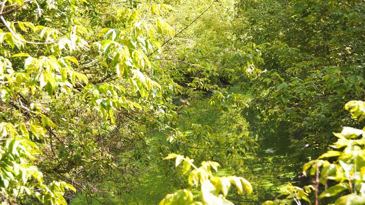     Источник: 1MI