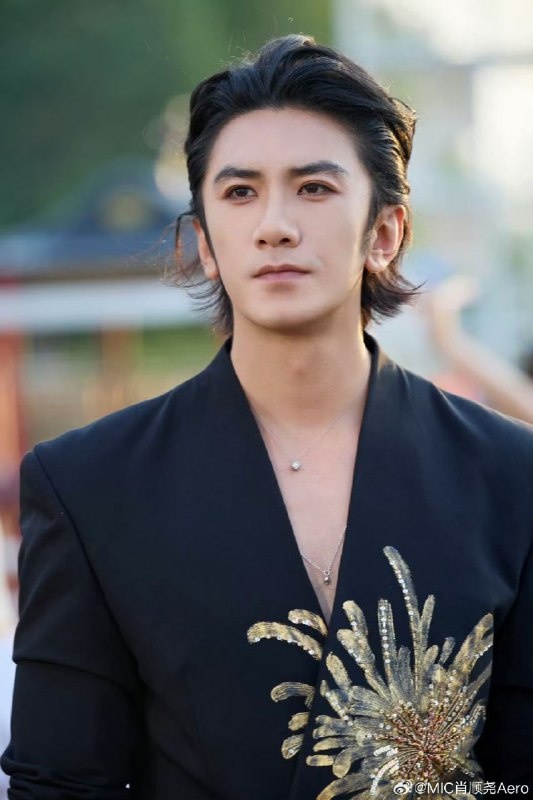 Актёр, певец Сяо Шуньяо. Листайте галерею...