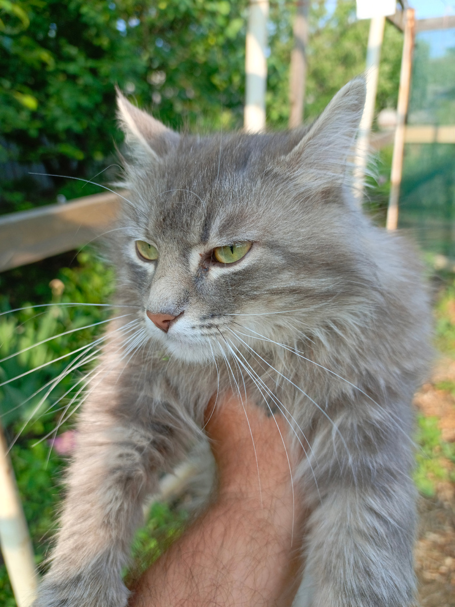 Главный огородник.