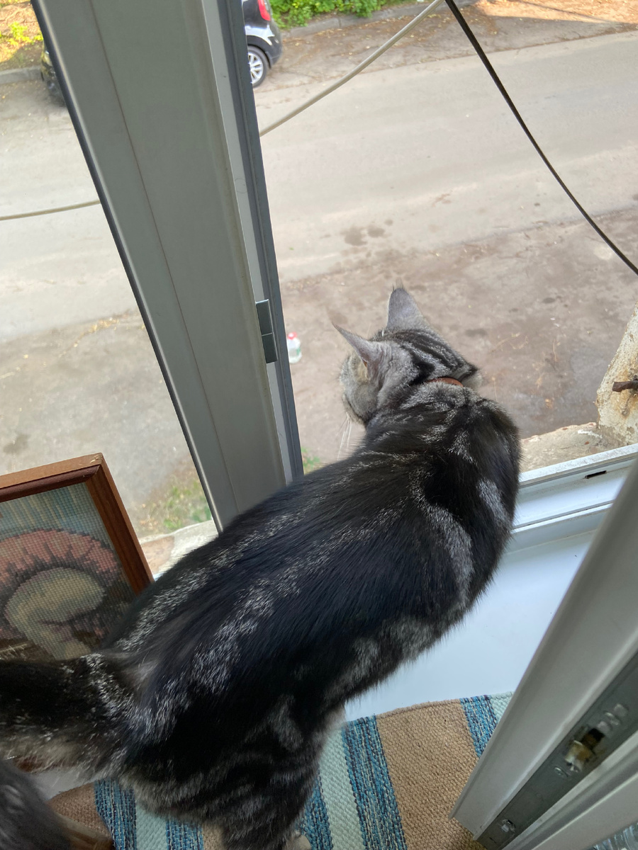 Осторожность не помешает.