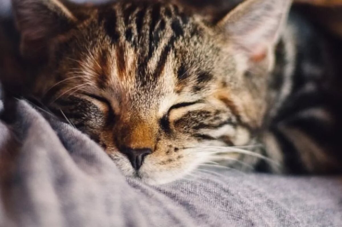    Саратовцев ожидает короткая рабочая неделя в июне