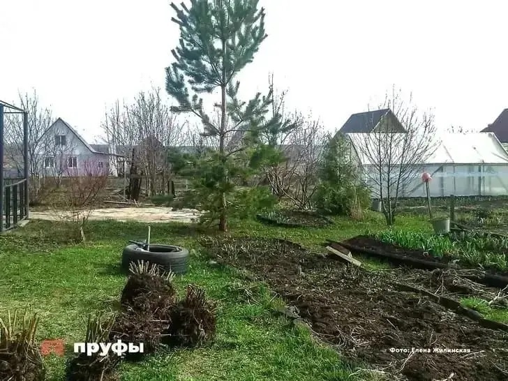    Фото: Пруфы.рф