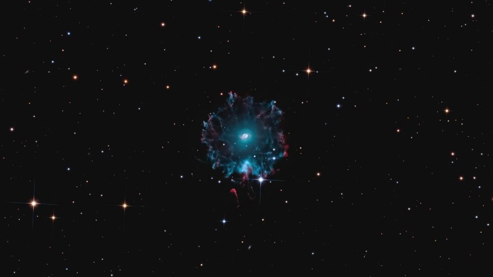 Фото: Emil Andronic  📷
