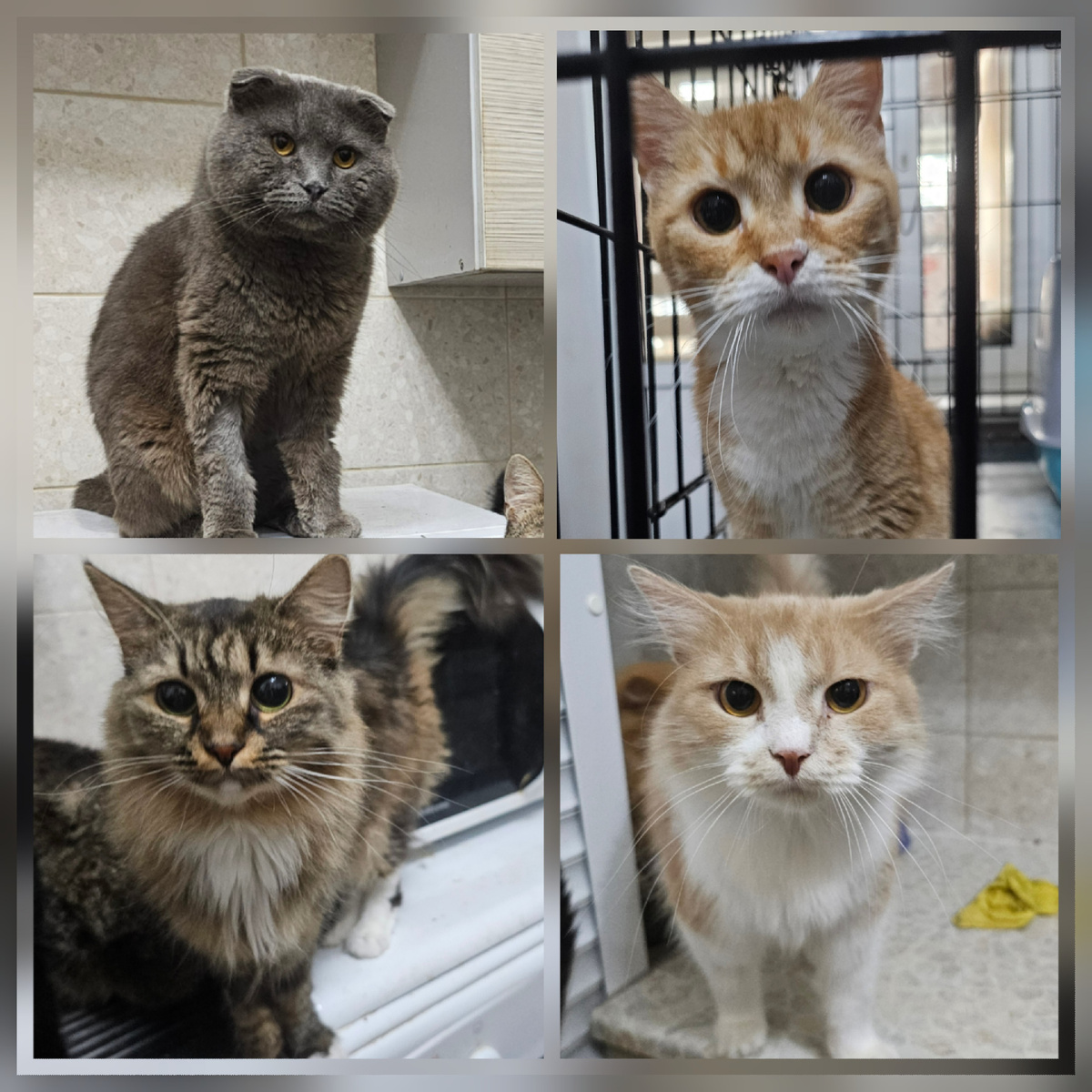 Фото автора. Ребята заболевшие фипом.