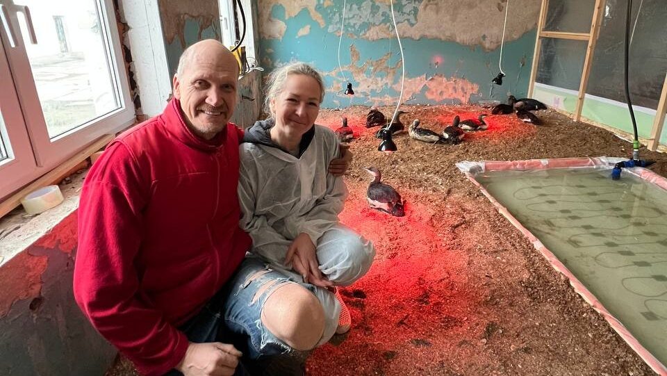    Игорь Погоцкий с супругой Анной в штабе помощи птицам в зоне ЧС. Фото из личного архива героя