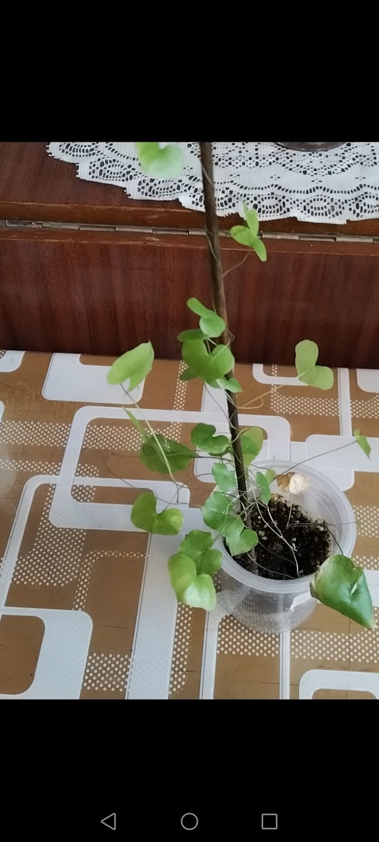 Сейчас ей 10 месяцев