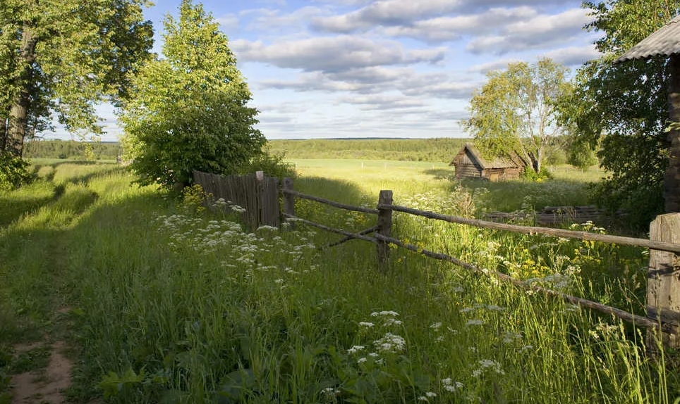 Яндекс картинки
