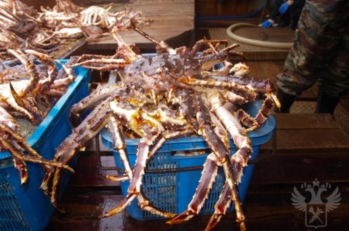    Сын «крабового короля» обвиняется в контрабанде краба на 2,6 млрд рублей