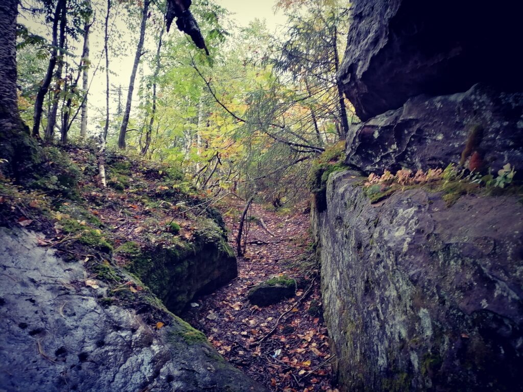    Фото: Ульяна Бажанова Ульяна Бажанова