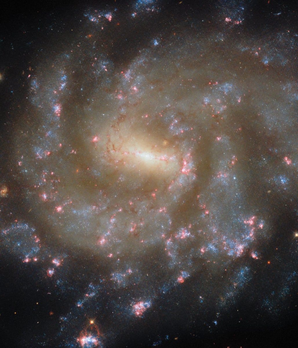    Спиральная галактика NGC 685 / © ESA / Hubble & NASA, J. Lee, F. Belfiore