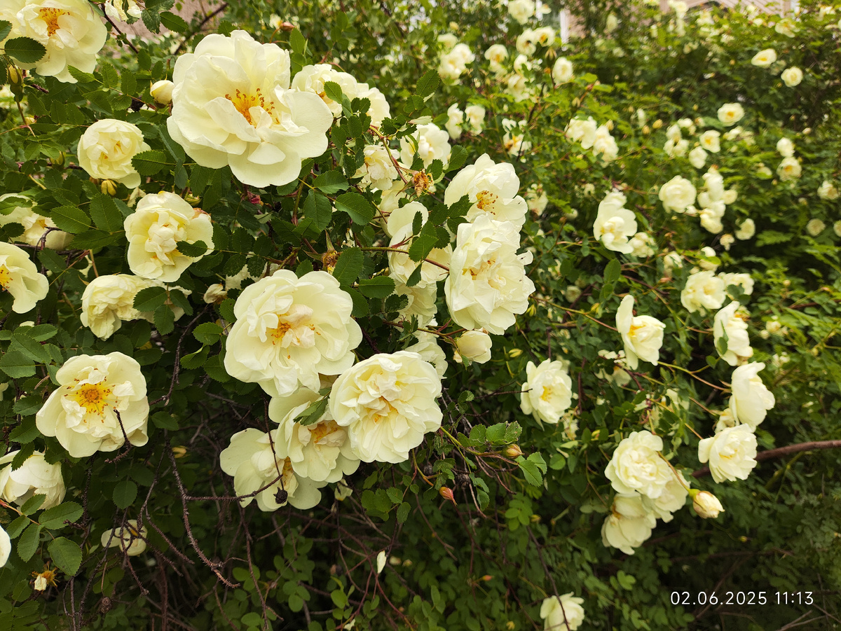 Красота кругом