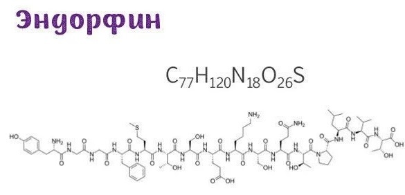 Формула эндорфины. Ничего непонятно, но отлично работает. Гормон радости и счастья. У меня его синтезируют подписчики. Фото из интернета