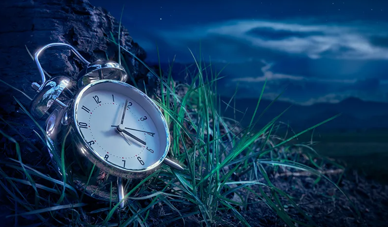 картинки Яндекс