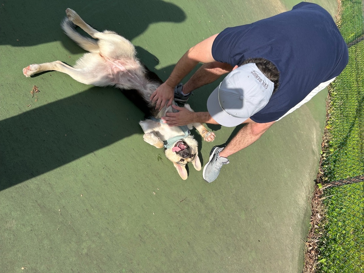 Семья активная, молодая. Теперь много прогулок и постоянная движуха 