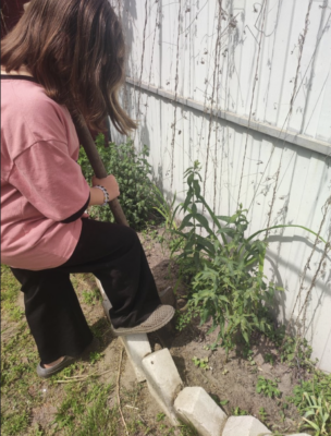    /home/web/web/gazeta suzemka.ru/public html/wp content/uploads/2025/06/snimok ekrana 2025 06 03 v 08.18.36 SiteEditor