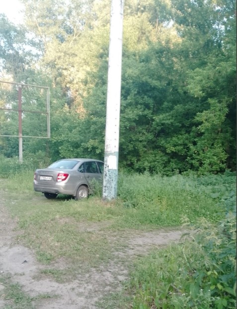 Там тропинка где нашла собаку.