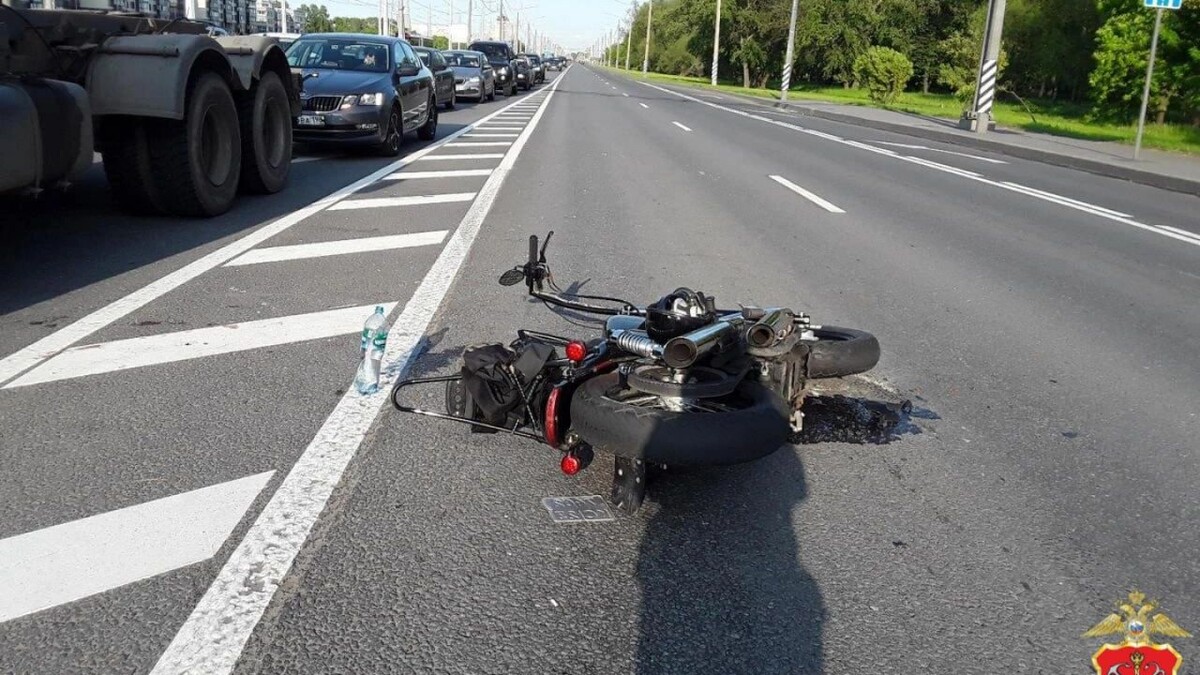    Фото: t.me/spb_police78/24433