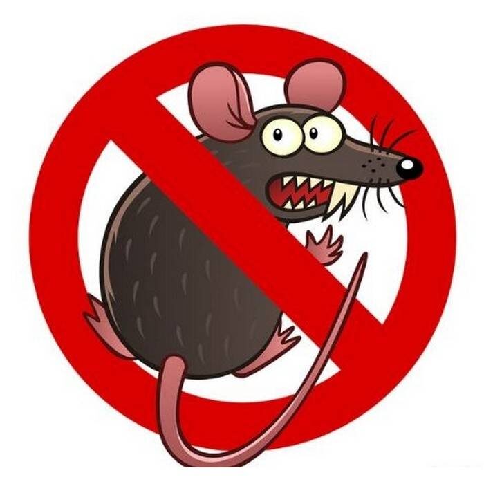 Фу, Брыська,брось эту гадость!