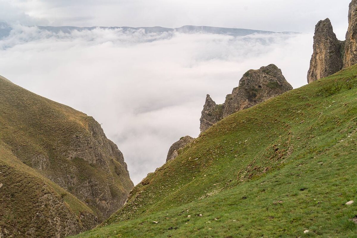 Фото Андрея Базанова t.me/andrewbazanov_photo