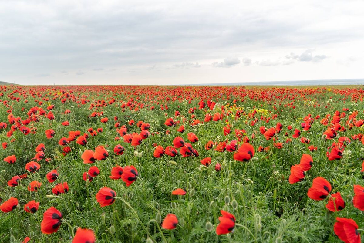 Фото Андрея Базанова t.me/andrewbazanov_photo