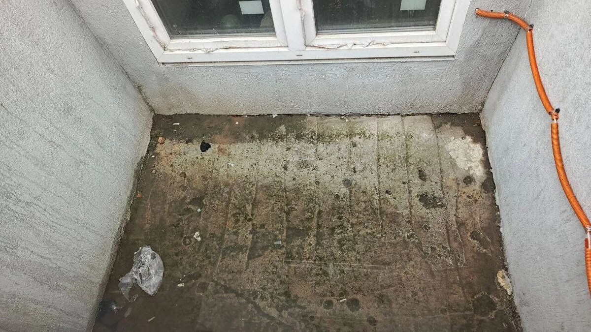     Источник: nashgorod.ru