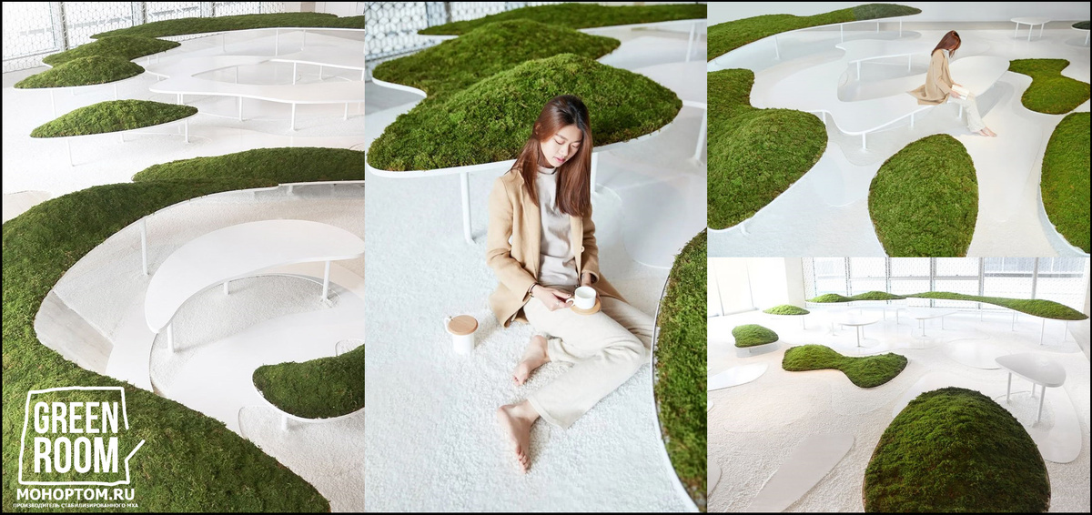 Современные сухие сады в Японии