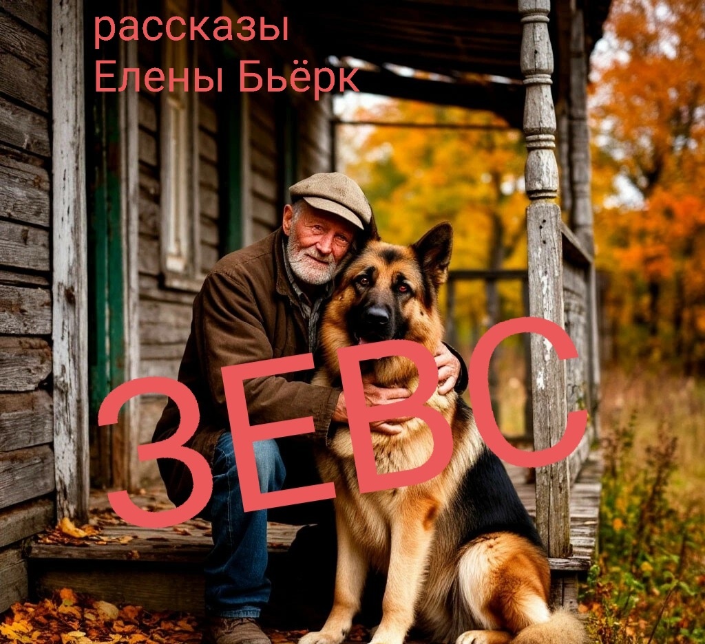 Автор иллюстрации Елена Бьёрк