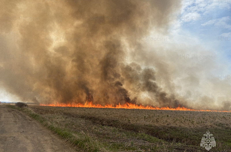 МЧС России по Камчатскому краю